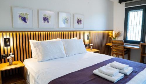 Deluxe Double Room (2 Adults + 1 Child)