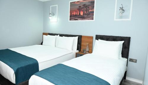 Superior Double or Twin Room