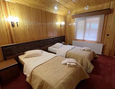 Deluxe Double or Twin Room with Mountain View