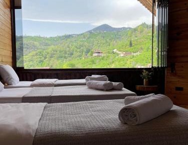 Family Room with Mountain View