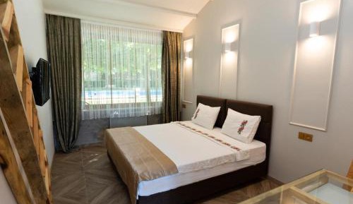 Superior Deluxe Double or Twin Room 