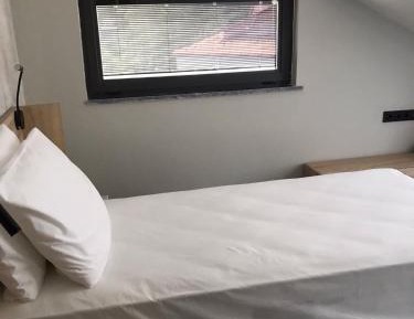 Standard Single Room with Mountain View