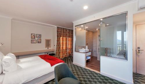 Triple Room with Mountain View