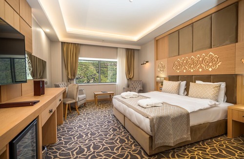 Ciftehan Hotel | Alsi Ametis Thermal Hotel & Spa