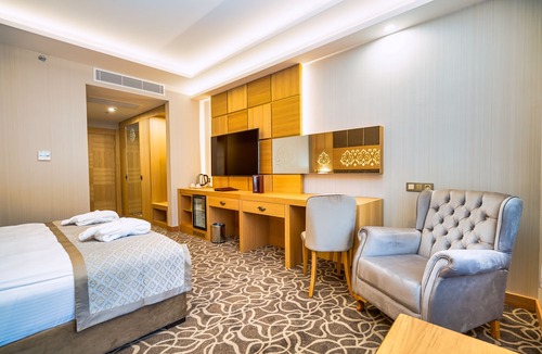 Ciftehan Hotel | Alsi Ametis Thermal Hotel & Spa