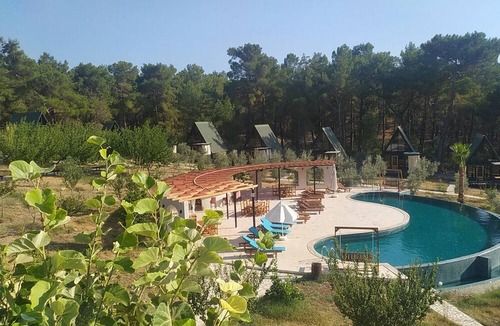 Faralya Villa | Phaselis is located in a cedar forest, our natural healer- de-stress and unwind