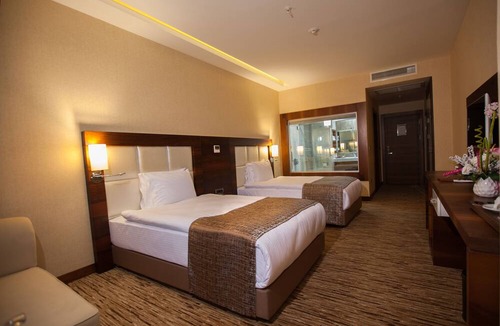 Yenisehir Hotel | Mitannia Regency Hotel