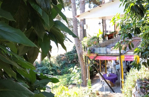 Gazipasa House | Zeytinada Pansiyon ve Gozleme