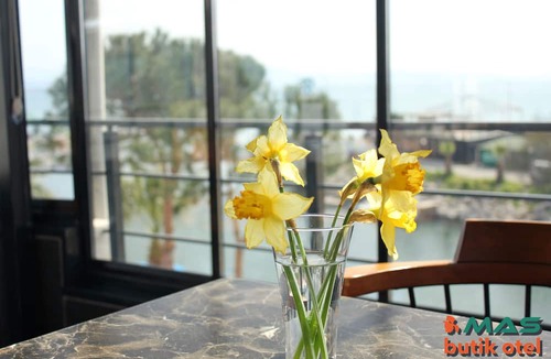 Akcay Hotel | Mas Otel
