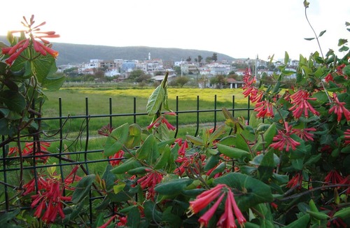 Gulbahce Mahallesi Villa | Urla, Home Sweet Home, near Kitesurf Spot