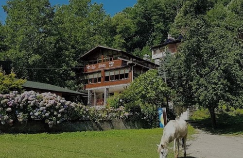 Sapanca Cabin | Özde Dağ Evi