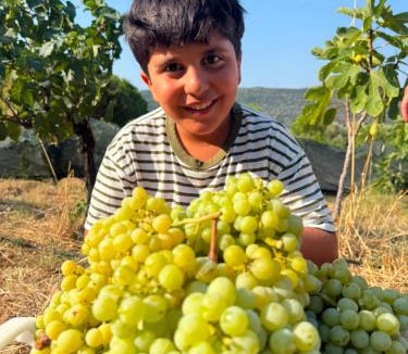 Foca Villa | Mayafa Zeytinli Bağ