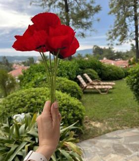 Ula Apartment | Gökova VillasBLOOM