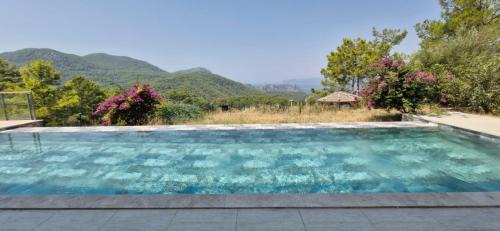 Ortaca House | Iztuzu Sunset Villa