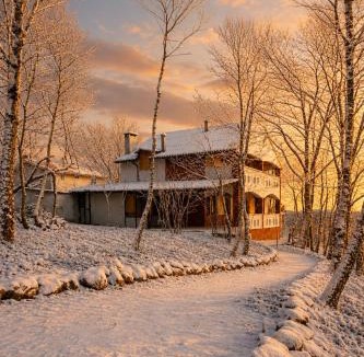 Osmangazi Ski Chalet | Villa Nest Uludağ