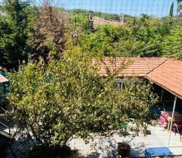 Camlık House | Efes Linden House