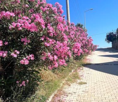 Konakli Apartment | 200 meters to our Turquoise Bay Residence for a comfortable vacation