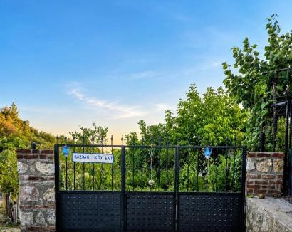 Ayvacik House | Ida Village House