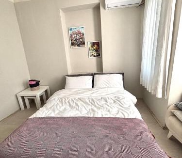 Istanbul City Center Villa | Pink House by the Seashore 2 Bedroom Fiber Internet