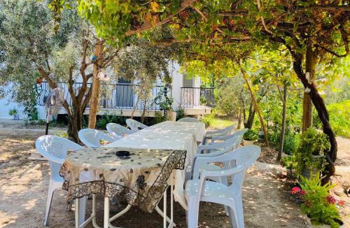 Pamukkale City Centre Apartment | White House