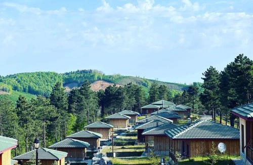Unye House | May Villas Cet Mountain 1-1 Bungalow with Fireplace 109