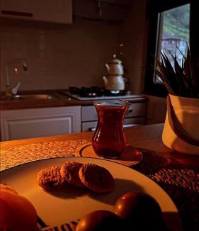 Ardesen Apartment | Villa Del Rio Karadeniz River Palace Ayder