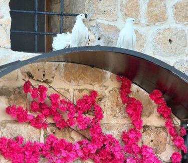 Artuklu Bed & Breakfast | Mirisso Konak Mardin