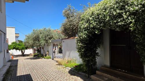 Selcuk Bed & Breakfast | Ephesus Suites