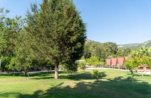 Olympos Hotel | Olympos Donkisot Pansiyon