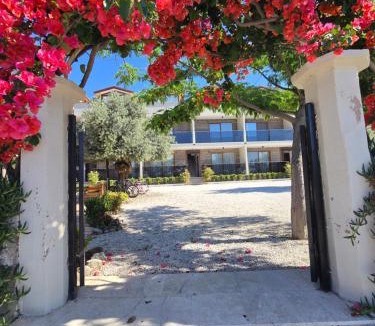 Ekincik Apartment | Olive Tree Apart Hotel