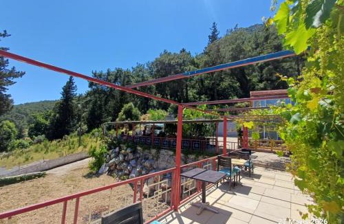 Kemer Hotel | Tokgöz Pansiyon Otel Restaurant