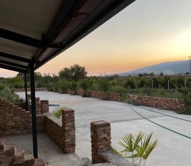 Zeytinli Bed & Breakfast | CasaMora