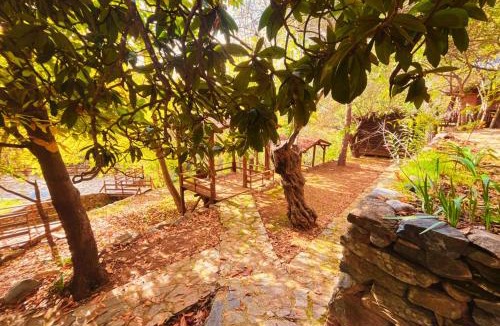 Zeytinli Bed & Breakfast | Kybele Nature Life