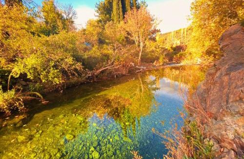 Zeytinli Bed & Breakfast | Kybele Nature Life