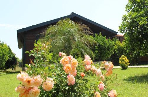 Cirali Villa | Çıralı Villa 2