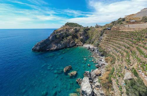 Gazipasa Villa | Koruwoodenhouse Alanya Gazipaşa