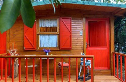 Olympos Hostel | Gayb-i Bungalows , Plus 12 Years Old - Free Access to Beach