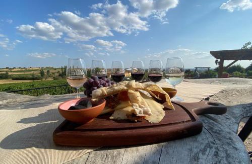 Kirklareli Hotel | Dessera Vineyards Hotel