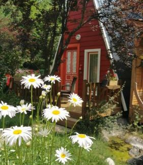 Bolu House | Abant Korudam bungalov butik otel