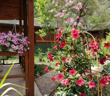 Cirali Cabin | Canario Bungalows