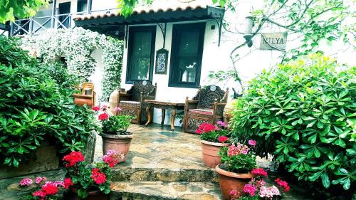 Selcuk House | Nilya Hotel