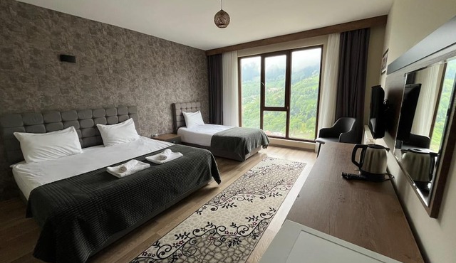Alya Teras Otel in Maçka