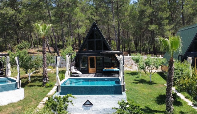 Arykanda - located in a cedar forest, our natural healer - de-stress and unwind in Kalkan