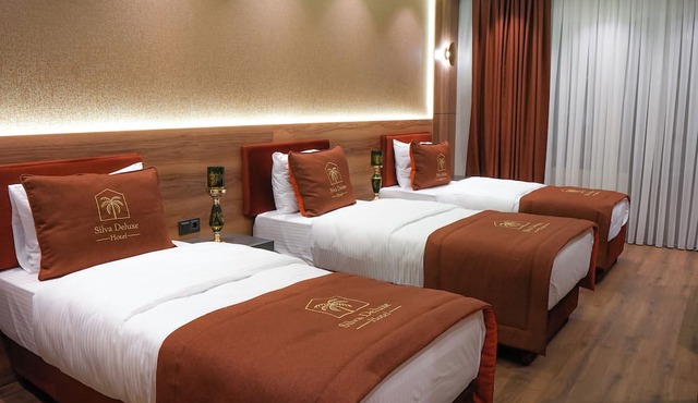 SİLVA DELUXE HOTEL in Mezitli