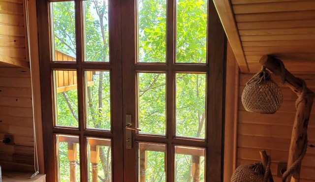 Selin Yaşam Evi in Borcka