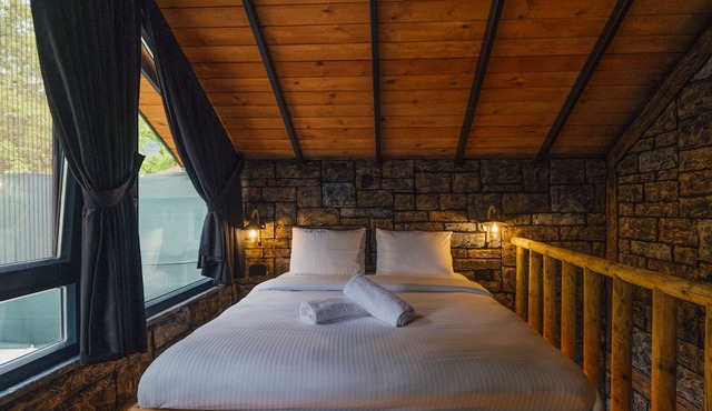 Tree Bungalov Maşukiye