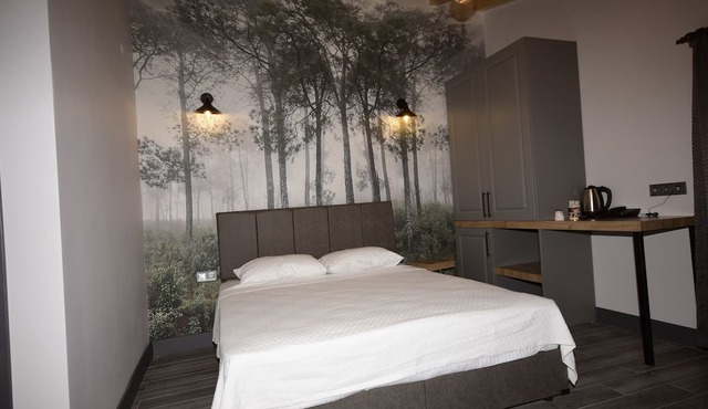 Koru Butik Otel in Artvin