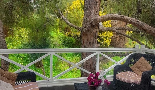 DREAM'S APART YOUR DREAMS COME TRUE FOR YOUR HOLIDAY ! in Mugla