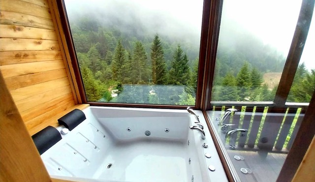 Ayder Cise Dag Evleri in Çamlihemsin