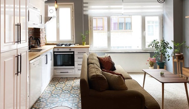 0103 - Central, Comfortable, Affordable in Istanbul
